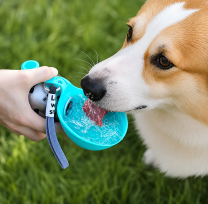 PawsomeCity™ HydroPaw Bottle – Leak-Proof Stainless Steel Travel Water Bottle for Dogs & Cats